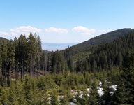 20170403_125748.jpg