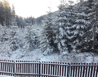 20210106_084748.jpg