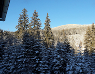 20210106_084833.jpg