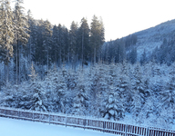 20210106_084841.jpg